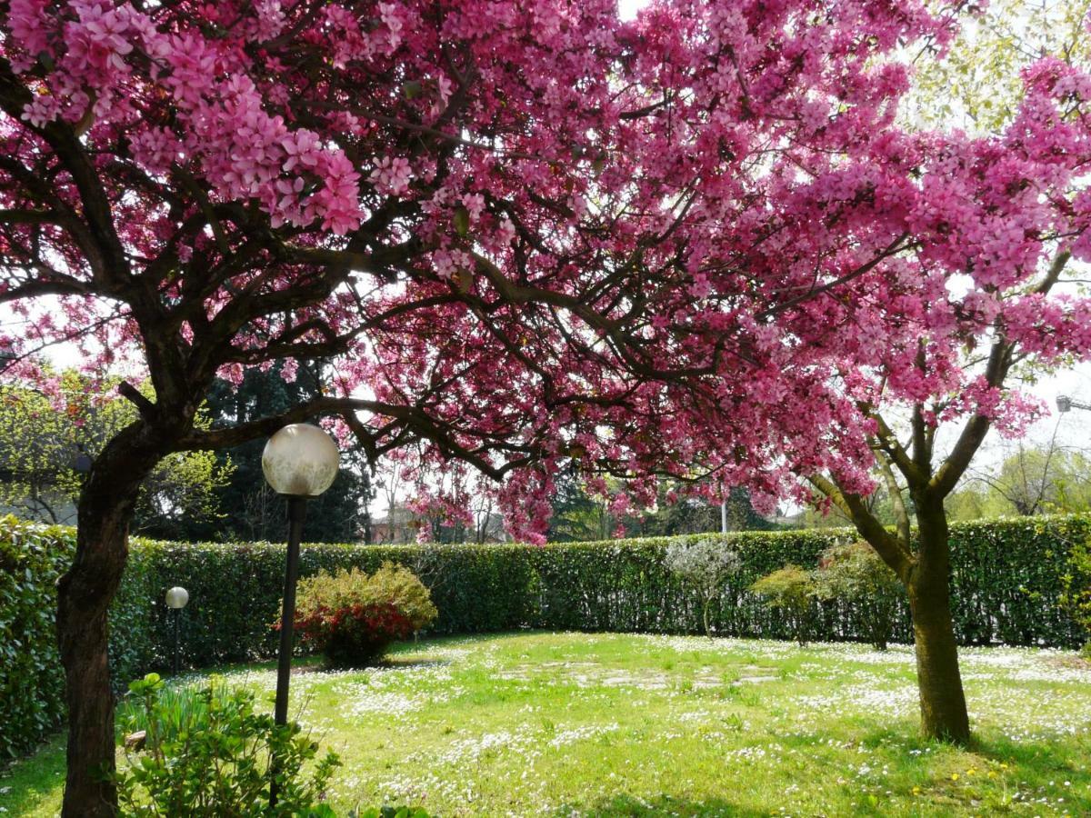 In Giardino B&B Cassina de' Pecchi Exteriör bild